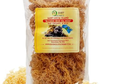 golden sea moss unlocking natures secrets for health and beauty 1