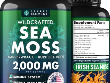 unveiling the secrets of sea moss bladderwrack transformative health and beyond 1