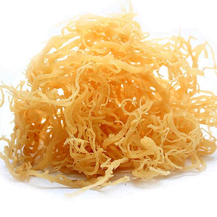 unveiling the hidden treasures of dried sea moss discoveries and insights