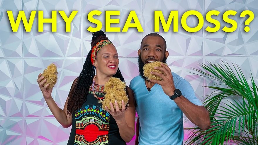 unveiling the secrets of jamaican sea moss discoveries and insights await